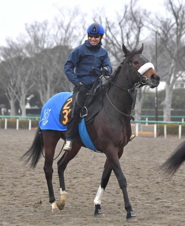 　名門・国枝厩舎が送り込む良血馬のミラビリスマジック