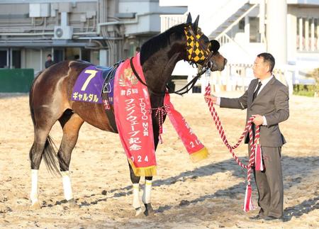 　フジノウェーブ記念を制したギャルダル