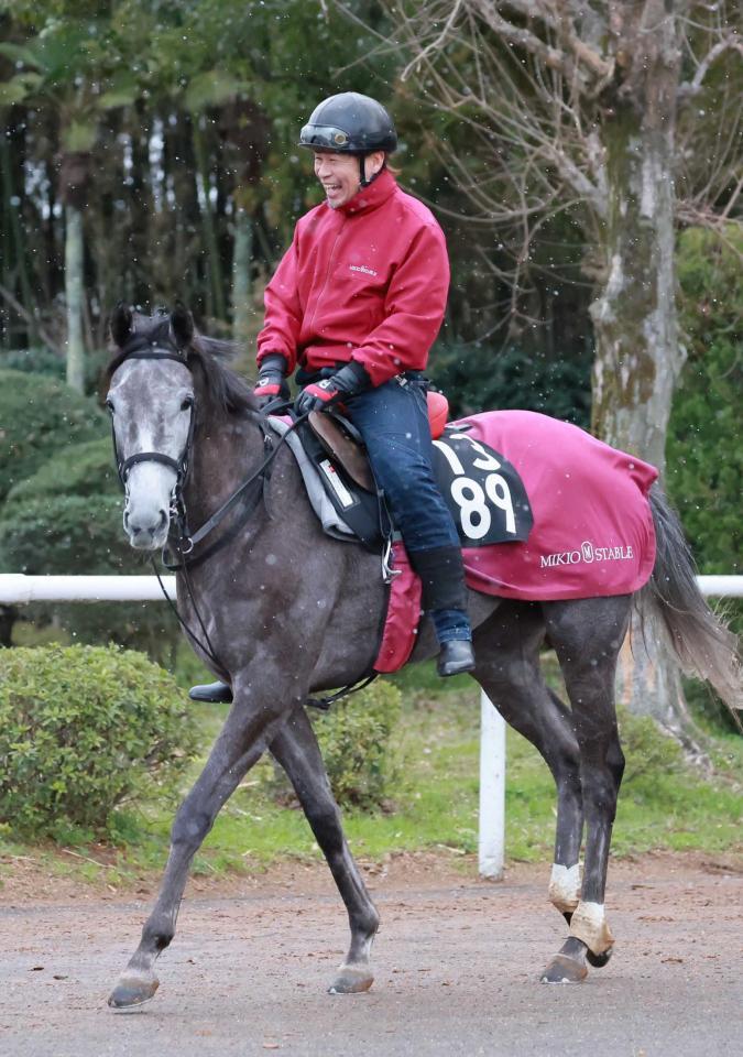 　重賞初挑戦初制覇を狙うハワイアンティアレ（撮影・石湯恒介）