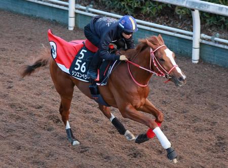 【弥生賞】シンエンペラー　新コンビ川田も好感触　矢作師太鼓判「十分力を出せる」