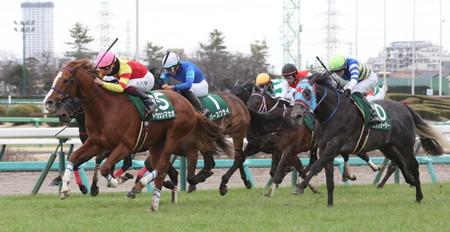 　外から突き抜けたトウシンマカオ（左手前）。右手前はビッグシーザー