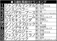 　３歳牡馬格付けランキング