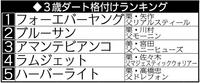 　３歳ダート格付けランキング