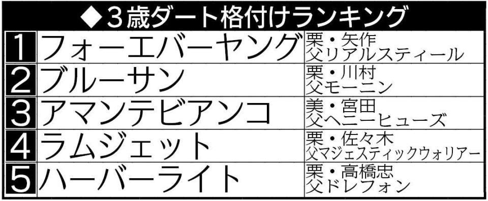 　３歳ダート格付けランキング