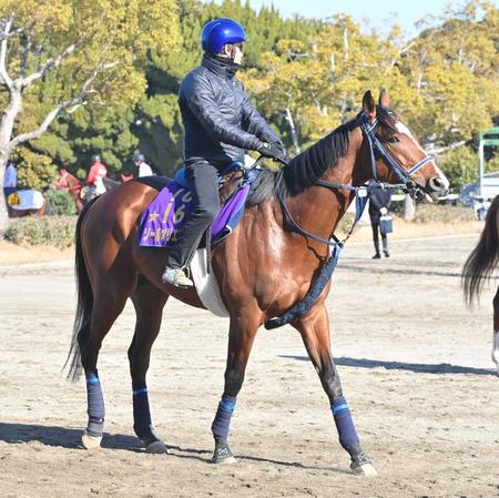 ソールオリエンス　横山武とのコンビ復活で大阪杯へ