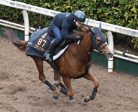 　滞在した栗東の坂路を力強く駆け上がるコラソンビート（撮影・石井剣太郎）