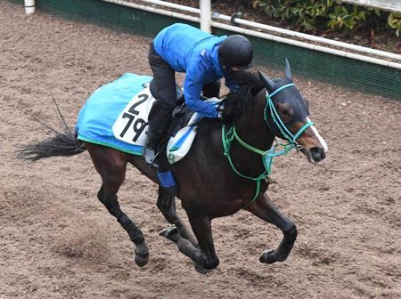 　栗東坂路で追い切るエアサージュ