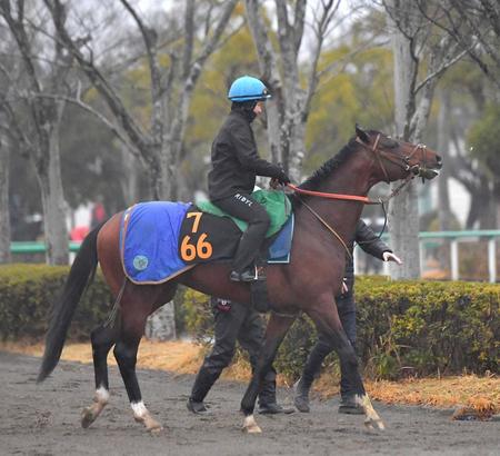 ダノンエアズロック右後肢外側副管骨の骨折　回復まで時間はかからない見込み