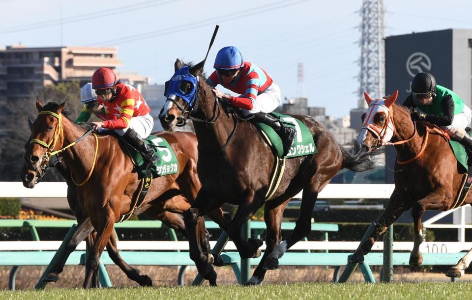 　中山牝馬Ｓを制したコンクシェル（中央）＝撮影・佐々木彰尚