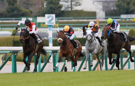 　ゆきやなぎ賞を制したショウナンラプンタ（左端）＝撮影・石湯恒介