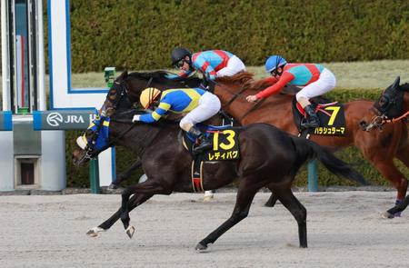 　福永厩舎初陣となったレオノーレ（奥）をゴール寸前で差し切るレディバグ（撮影・石湯恒介）