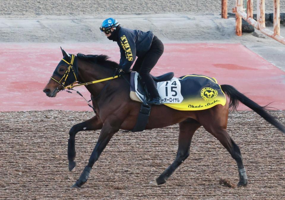 　重賞連勝を狙うテーオーロイヤル