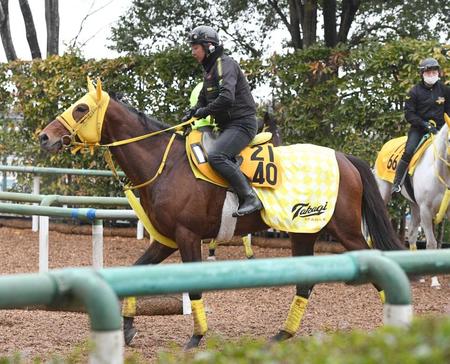 【阪神大賞典】５歳ワープスピード充実の春　重賞初制覇へスタミナ特化