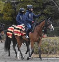 　異例のローテで臨むチェルヴィニア