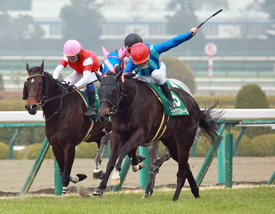 　京都牝馬Ｓを制したララクリスティーヌ（右）＝撮影２３年２月