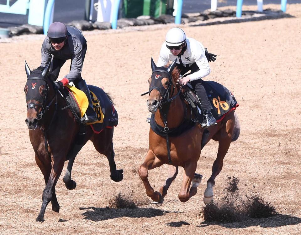 　美浦Ｗを軽快に駆けたアレグロブリランテ（右）＝撮影・園田高夫