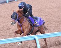 　初のスプリント戦に挑むウインカーネリアン