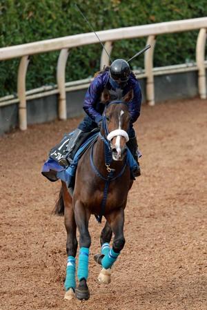 　デビュー３連勝で重賞２勝目を狙うノーブルロジャー