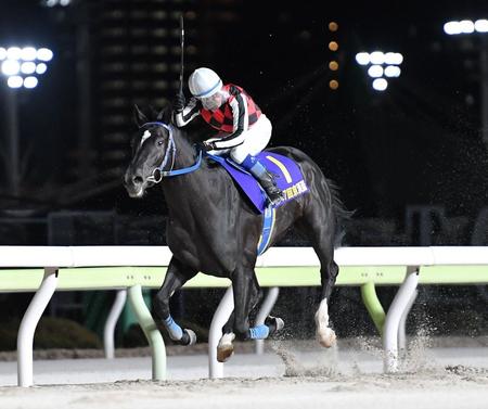 　２着のアンモシエラに７馬身差の圧勝で京浜盃を制したサントノーレと鞍上の服部茂（撮影・開出牧）