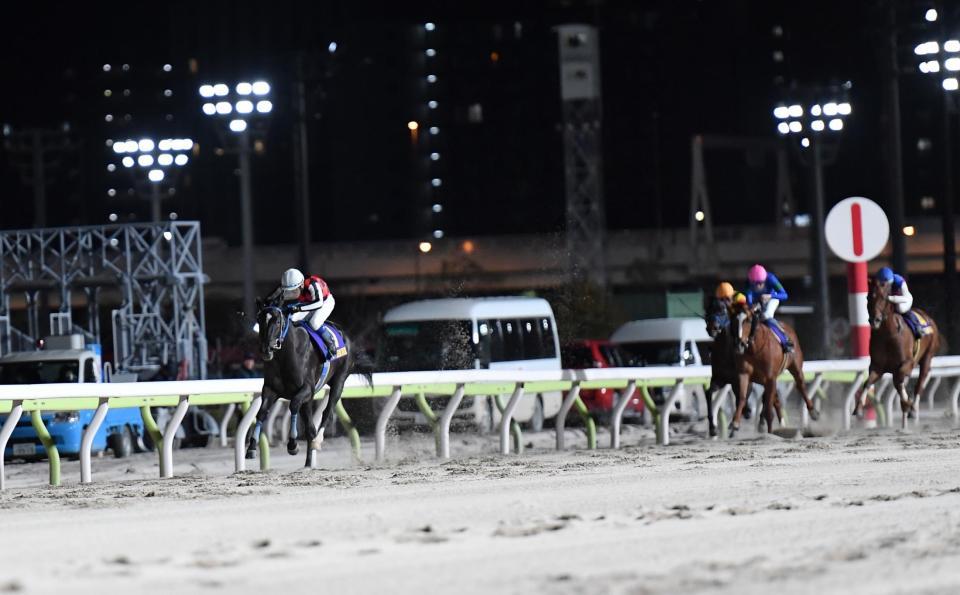 　２着のアンモシエラ（後方手前）に７馬身差の圧勝で京浜盃を制したサントノーレと鞍上の服部茂（撮影・開出牧）