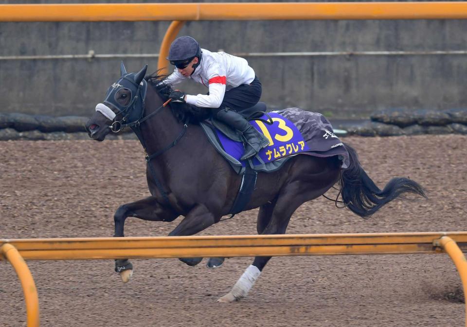 　鋭い反応を見せたナムラクレア（撮影・石湯恒介）