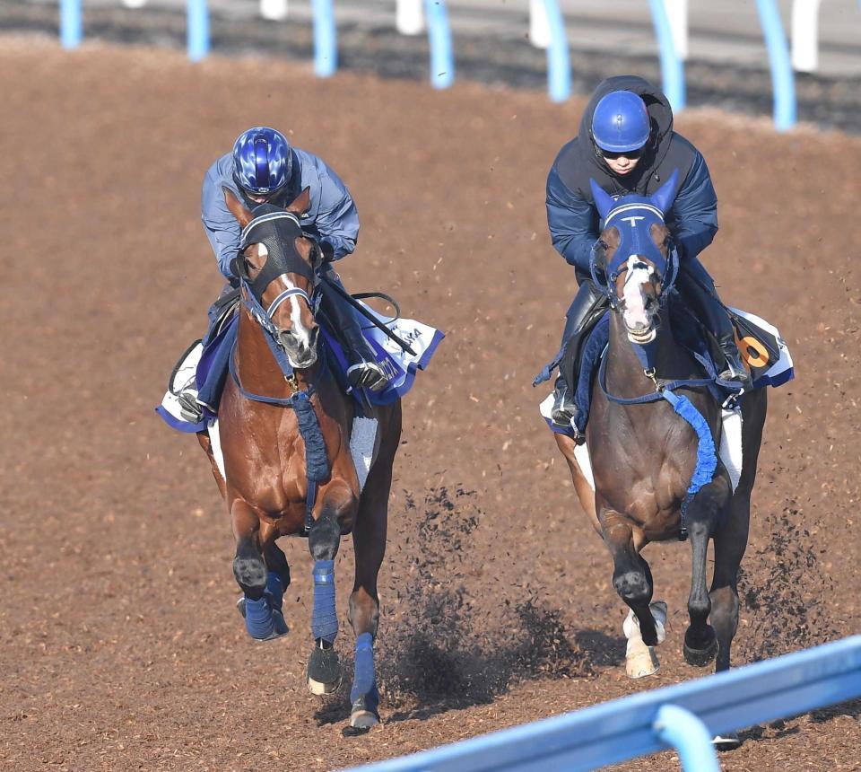 　１週前追い切りを消化したソールオリエンス（左）＝撮影・西岡正