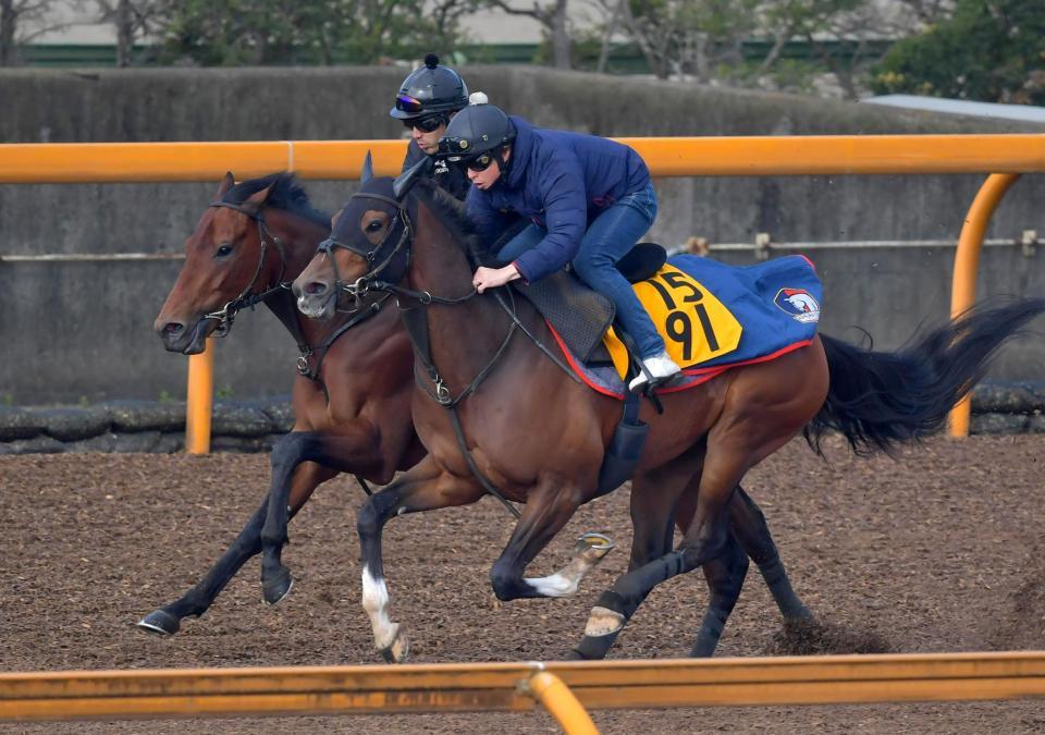 　栗東ＣＷで追い切るニュージーズ（奥）＝撮影・石湯恒介