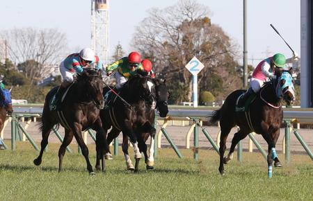 【ＰＯＧ】木村厩舎の２歳馬が３頭入厩　早期デビューへ要注目（美浦発）