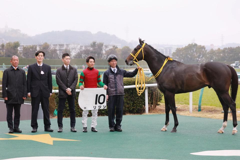 　中央初出走で勝利を収めたリジン（撮影・石湯恒介）