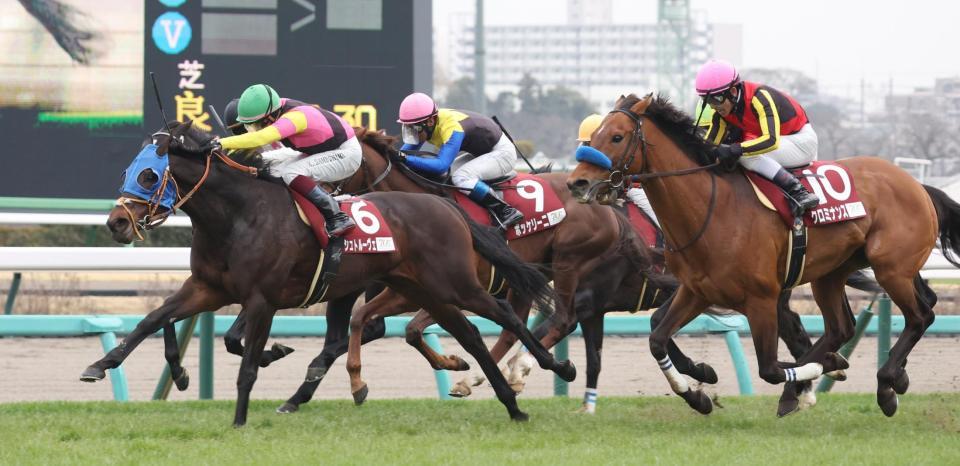 　クロミナンス（右）を振り切るシュトルーヴェ（左）