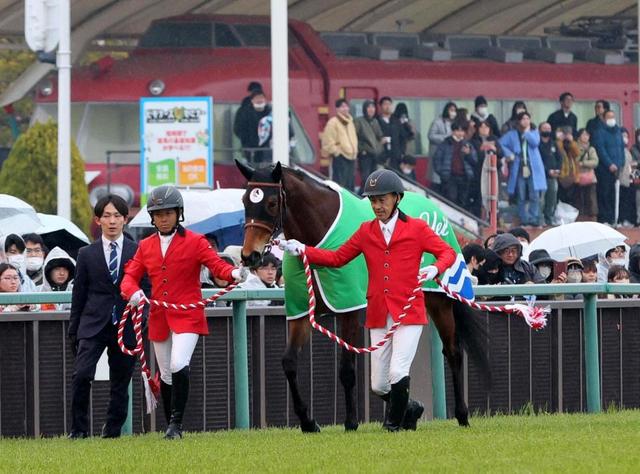 メイケイエール - Meikei Yell - 競走馬データベース | 競馬ラボ