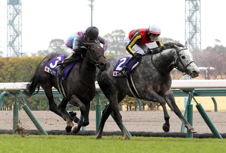 【高松宮記念】ナムラクレア　７度目の挑戦実らず今年も無念の銀…長谷川師「少しだけ勝ち運がなかった」