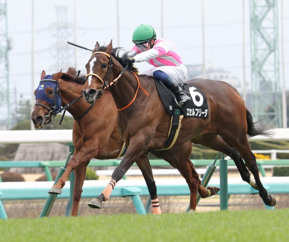 　ミモザ賞を制したエセルフリーダ（右）＝中山競馬場（撮影・西岡正）