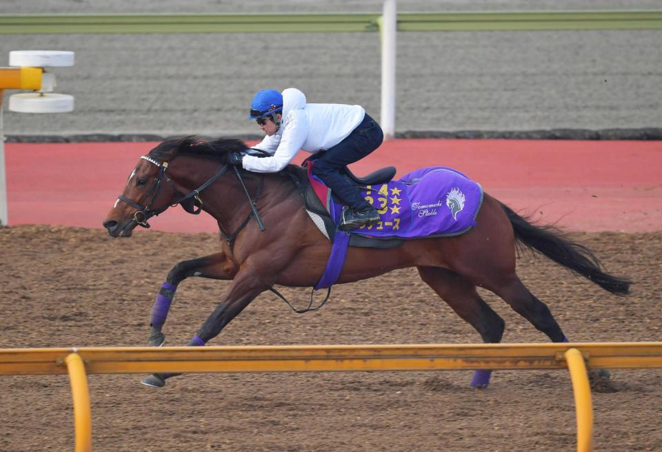 　武豊を背に栗東で調整するドウデュース