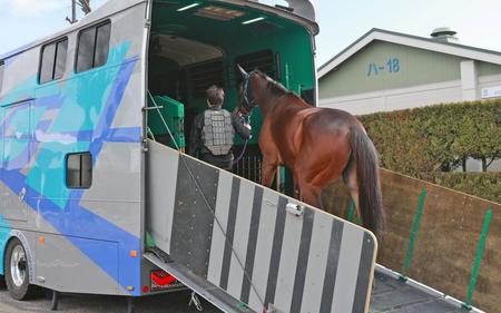 　馬運車に乗り込むメイケイエール（撮影・石湯恒介）