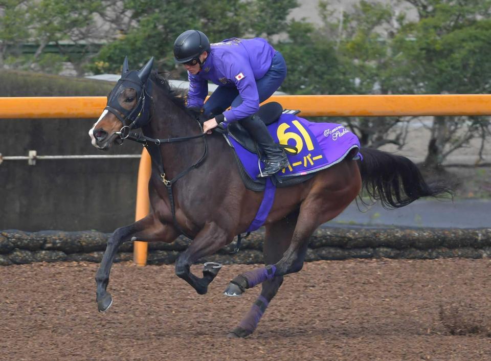 　栗東ＣＷで追い切るハーパー＝栗東トレセン（撮影・石湯恒介）