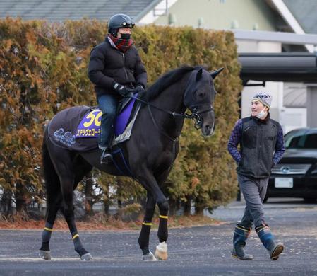 　Ｇ１舞台に舞い戻ってきたステラヴェローチェ