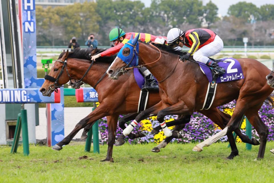 　内と外から迫られるも首差残したベラジオオペラ（左）＝撮影・石湯恒介