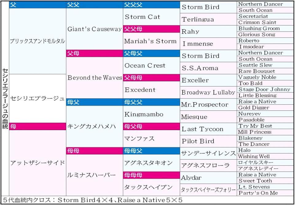 　セシリエプラージュの血統表