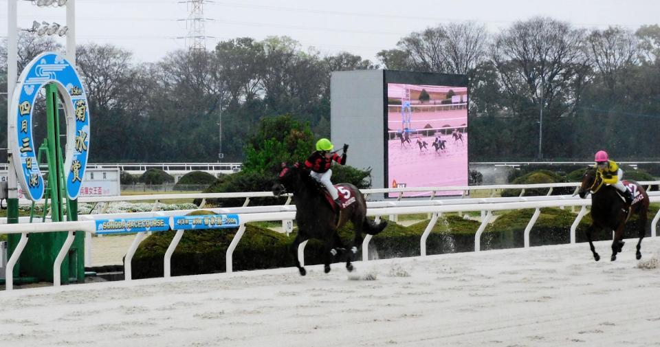 　無傷の４連勝で菊水賞を制覇したオーシンロクゼロ（左）＝撮影・中山伸治