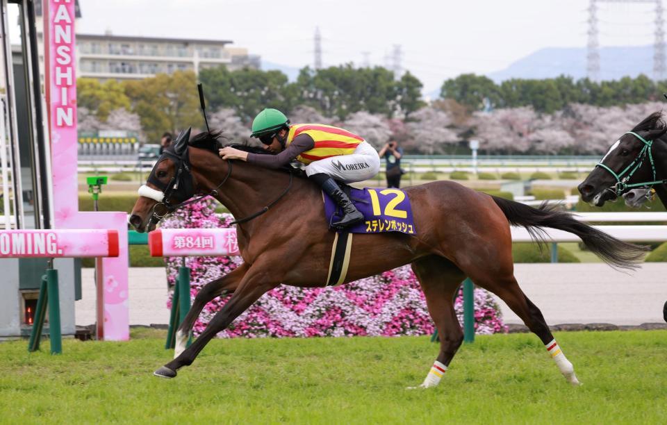 　桜冠を射止めたステレンボッシュ（撮影・石湯恒介）