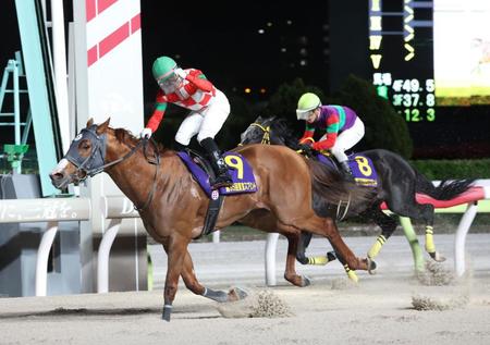 　東京スプリントを制したジャスティンとガッツポーズをする西啓太（撮影・山崎力夫）