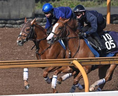 【皐月賞】ビザンチンドリーム　手応え十分で併入　無傷３連勝での戴冠へ　坂口師納得「精神状態がいい」