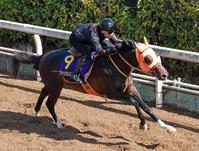 　万全の態勢を整えたジャンタルマンタル（撮影・石湯恒介）