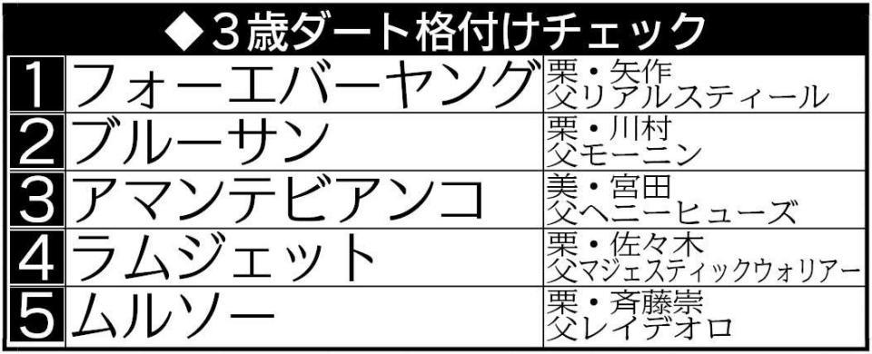 　３歳ダート格付けチェック