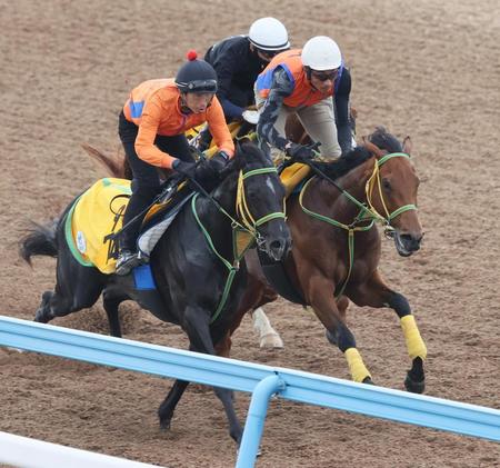 【福島牝馬Ｓ】シンリョクカ楽に１馬身先着　騎乗の竹内師も好感触「何とかタイトルを獲らせたい」