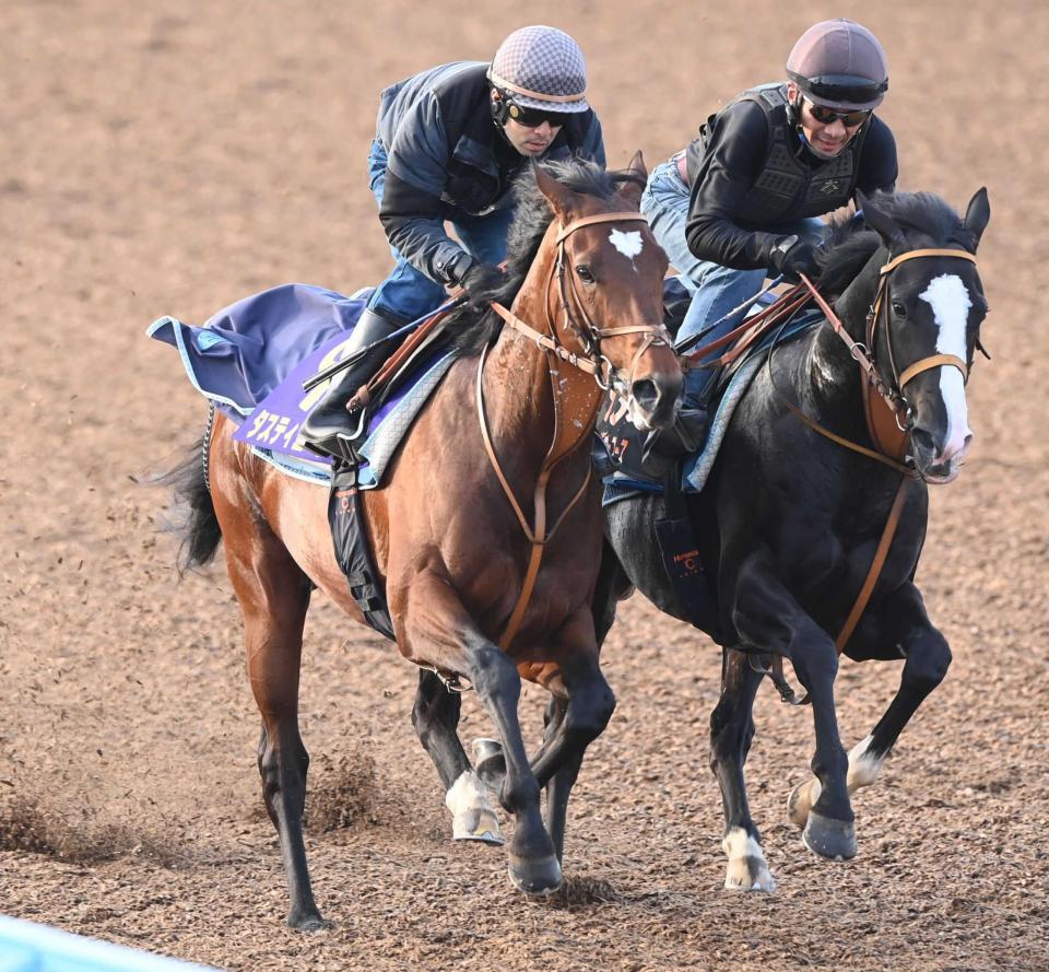 　ゴンバデカーブース（右）と併せ馬で追い切ったタスティエーラ