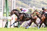 　浄土平特別を制したライクアフラワー（撮影・園田高夫）