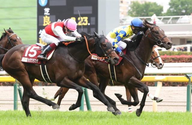 JRA G2 ゼッケン サープラスシンガー　重賞 JRA G2 ゼッケン サープラスシンガー 重賞 商品・製品 | JRA