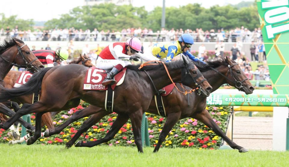 　ショウナンラプンタ（手前）の猛追を振り切り青葉賞を勝利したシュガークン（右）